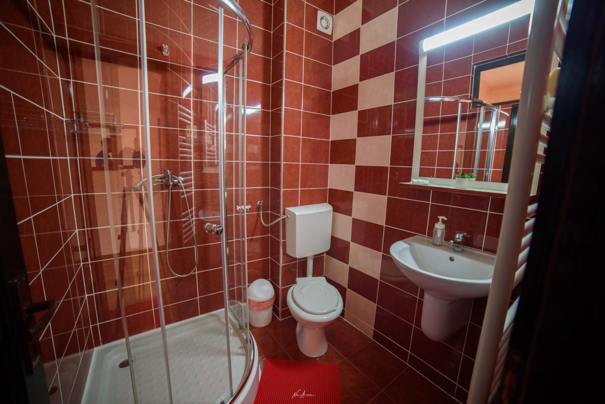 Villa Casa Alina à Arieşeni Extérieur photo